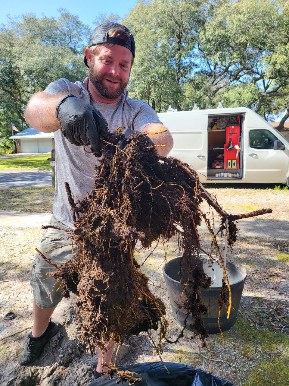 Honey Bee Plumbing owner removing invasive roots from a drain line
